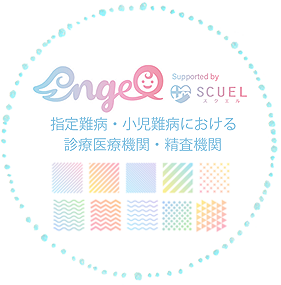 小児希少難病精査診療機関検索サイト